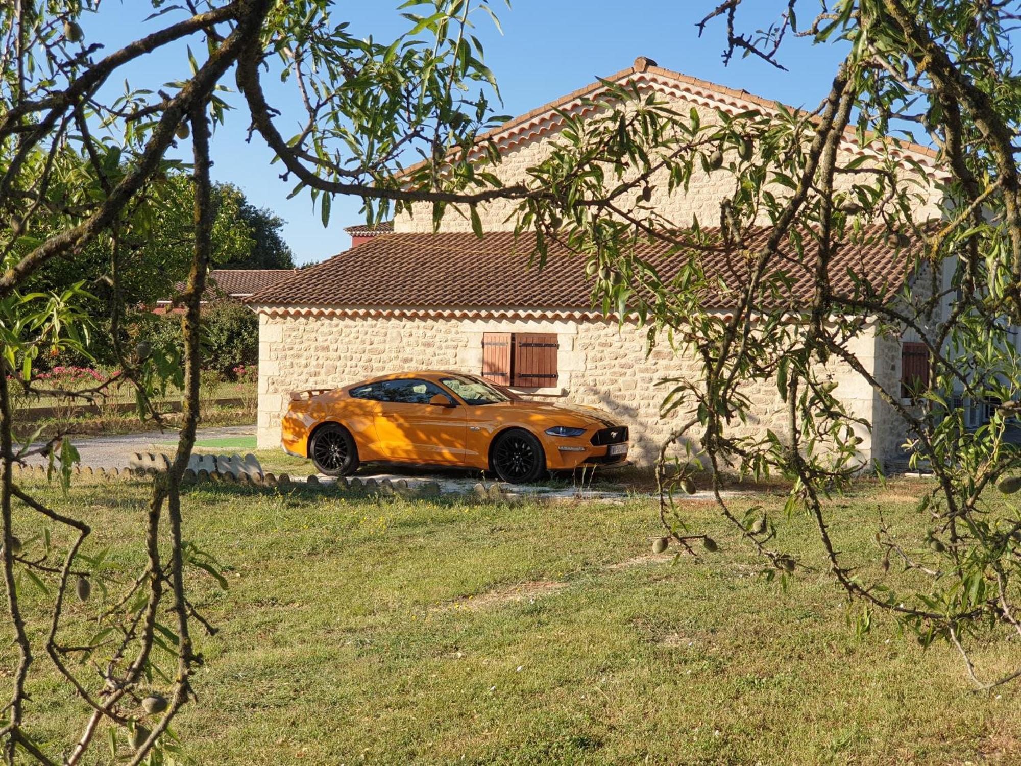 Gite Et Piscine L'Ecrin Aux Oliviers En Cevennes Saint-Christol-lès-Alès Exterior foto